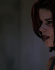 Filename=Wild_Things_mp44071.jpg
Filesize=651KiB
Dimensions=1920x800
Date added=Sep 28, 2025 Wild_Things_mp44071.jpg