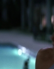 Filename=Wild_Things_mp44077.jpg
Filesize=675KiB
Dimensions=1920x800
Date added=Sep 28, 2025 Wild_Things_mp44077.jpg