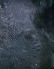 Filename=Wild_Things_mp44105.jpg
Filesize=818KiB
Dimensions=1920x800
Date added=Sep 28, 2025 Wild_Things_mp44105.jpg