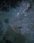 Filename=Wild_Things_mp44113.jpg
Filesize=790KiB
Dimensions=1920x800
Date added=Sep 28, 2025 Wild_Things_mp44113.jpg