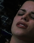 Filename=Wild_Things_mp44136.jpg
Filesize=583KiB
Dimensions=1920x800
Date added=Sep 28, 2025 Wild_Things_mp44136.jpg