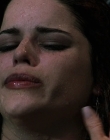 Filename=Wild_Things_mp44143.jpg
Filesize=571KiB
Dimensions=1920x800
Date added=Sep 28, 2025 Wild_Things_mp44143.jpg