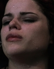 Filename=Wild_Things_mp44149.jpg
Filesize=624KiB
Dimensions=1920x800
Date added=Sep 28, 2025 Wild_Things_mp44149.jpg
