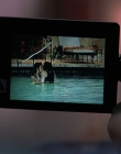 Filename=Wild_Things_mp44166.jpg
Filesize=603KiB
Dimensions=1920x800
Date added=Sep 28, 2025 Wild_Things_mp44166.jpg