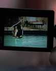 Filename=Wild_Things_mp44167.jpg
Filesize=600KiB
Dimensions=1920x800
Date added=Sep 28, 2025 Wild_Things_mp44167.jpg