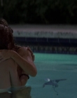 Filename=Wild_Things_mp44210.jpg
Filesize=656KiB
Dimensions=1920x800
Date added=Sep 28, 2025 Wild_Things_mp44210.jpg