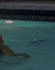 Filename=Wild_Things_mp44211.jpg
Filesize=687KiB
Dimensions=1920x800
Date added=Sep 28, 2025 Wild_Things_mp44211.jpg