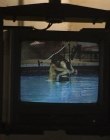 Filename=Wild_Things_mp44216.jpg
Filesize=660KiB
Dimensions=1920x800
Date added=Sep 28, 2025 Wild_Things_mp44216.jpg