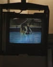 Filename=Wild_Things_mp44217.jpg
Filesize=645KiB
Dimensions=1920x800
Date added=Sep 28, 2025 Wild_Things_mp44217.jpg