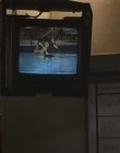 Filename=Wild_Things_mp44218.jpg
Filesize=671KiB
Dimensions=1920x800
Date added=Sep 28, 2025 Wild_Things_mp44218.jpg