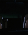 Filename=Wild_Things_mp44410.jpg
Filesize=528KiB
Dimensions=1920x800
Date added=Sep 28, 2025 Wild_Things_mp44410.jpg