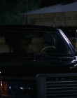 Filename=Wild_Things_mp44430.jpg
Filesize=678KiB
Dimensions=1920x800
Date added=Sep 28, 2025 Wild_Things_mp44430.jpg