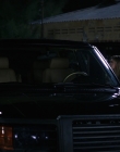 Filename=Wild_Things_mp44431.jpg
Filesize=675KiB
Dimensions=1920x800
Date added=Sep 28, 2025 Wild_Things_mp44431.jpg