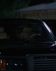 Filename=Wild_Things_mp44432.jpg
Filesize=673KiB
Dimensions=1920x800
Date added=Sep 28, 2025 Wild_Things_mp44432.jpg