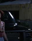 Filename=Wild_Things_mp44435.jpg
Filesize=686KiB
Dimensions=1920x800
Date added=Sep 28, 2025 Wild_Things_mp44435.jpg