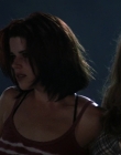 Filename=Wild_Things_mp44447.jpg
Filesize=642KiB
Dimensions=1920x800
Date added=Sep 28, 2025 Wild_Things_mp44447.jpg