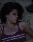 Filename=Wild_Things_mp44473.jpg
Filesize=685KiB
Dimensions=1920x800
Date added=Sep 28, 2025 Wild_Things_mp44473.jpg