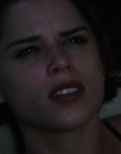 Filename=Wild_Things_mp44477.jpg
Filesize=607KiB
Dimensions=1920x800
Date added=Sep 28, 2025 Wild_Things_mp44477.jpg