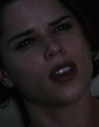 Filename=Wild_Things_mp44478.jpg
Filesize=593KiB
Dimensions=1920x800
Date added=Sep 28, 2025 Wild_Things_mp44478.jpg
