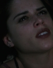 Filename=Wild_Things_mp44481.jpg
Filesize=632KiB
Dimensions=1920x800
Date added=Sep 28, 2025 Wild_Things_mp44481.jpg