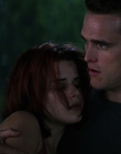 Filename=Wild_Things_mp44533.jpg
Filesize=632KiB
Dimensions=1920x800
Date added=Sep 28, 2025 Wild_Things_mp44533.jpg