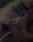 Filename=Wild_Things_mp44593.jpg
Filesize=659KiB
Dimensions=1920x800
Date added=Sep 28, 2025 Wild_Things_mp44593.jpg