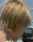 Filename=Wild_Things_mp46061.jpg
Filesize=783KiB
Dimensions=1920x800
Date added=Sep 28, 2025 Wild_Things_mp46061.jpg