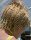 Filename=Wild_Things_mp46062.jpg
Filesize=810KiB
Dimensions=1920x800
Date added=Sep 28, 2025 Wild_Things_mp46062.jpg
