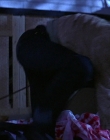 Filename=Scream_3_mp43899.jpg
Filesize=778KiB
Dimensions=1920x828
Date added=Sep 27, 2025 Scream_3_mp43899.jpg
