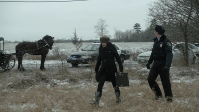 An_Amish_Murder_mp40282.jpg