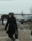 An_Amish_Murder_mp40284.jpg