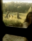 Filename=1994_-_Tales_of_the_Wild_mp44635.jpg
Filesize=98KiB
Dimensions=640x480
Date added=Sep 28, 2025 1994_-_Tales_of_the_Wild_mp44635.jpg