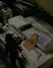 2009_-_Sea_Wolf_mp48433.jpg