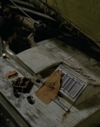 2009_-_Sea_Wolf_mp48436.jpg