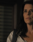 Filename=The_Lincoln_Lawyer_S01E10_mp45414.jpg
Filesize=739KiB
Dimensions=1920x960
Date added=Sep 27, 2025 The_Lincoln_Lawyer_S01E10_mp45414.jpg