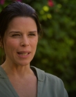 Filename=The_Lincoln_Lawyer_S02E01_mkv2014.jpg
Filesize=780KiB
Dimensions=1920x960
Date added=Sep 27, 2025 The_Lincoln_Lawyer_S02E01_mkv2014.jpg